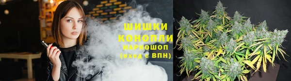 не бодяженный Осташков