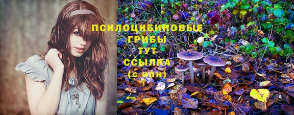 меф Билибино