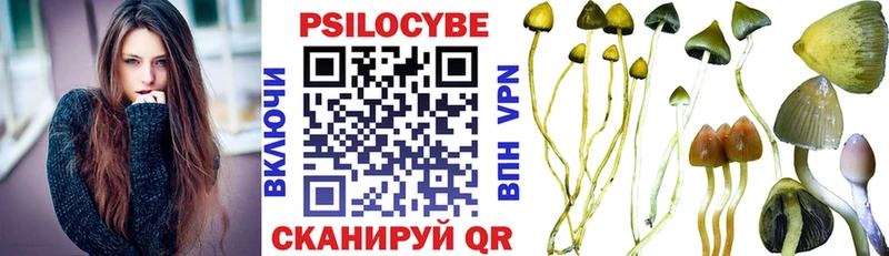 Псилоцибиновые грибы Magic Shrooms  Шарыпово 