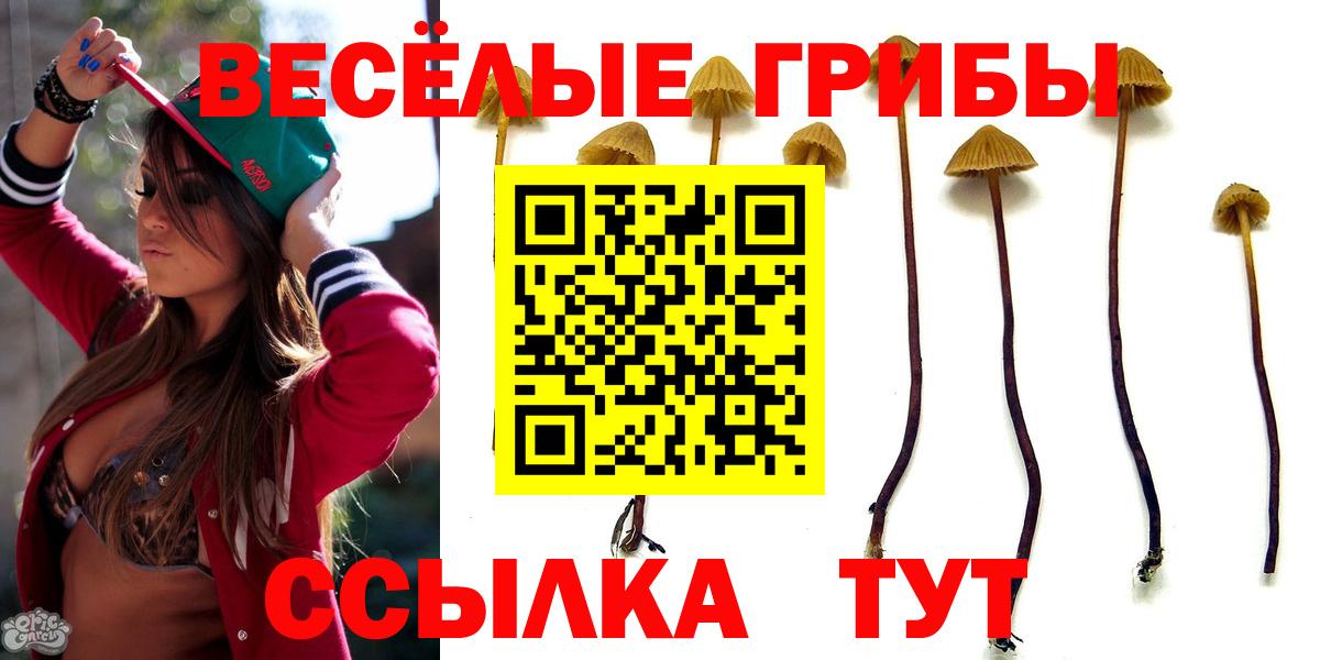 Псилоцибиновые грибы MAGIC MUSHROOMS Шарыпово
