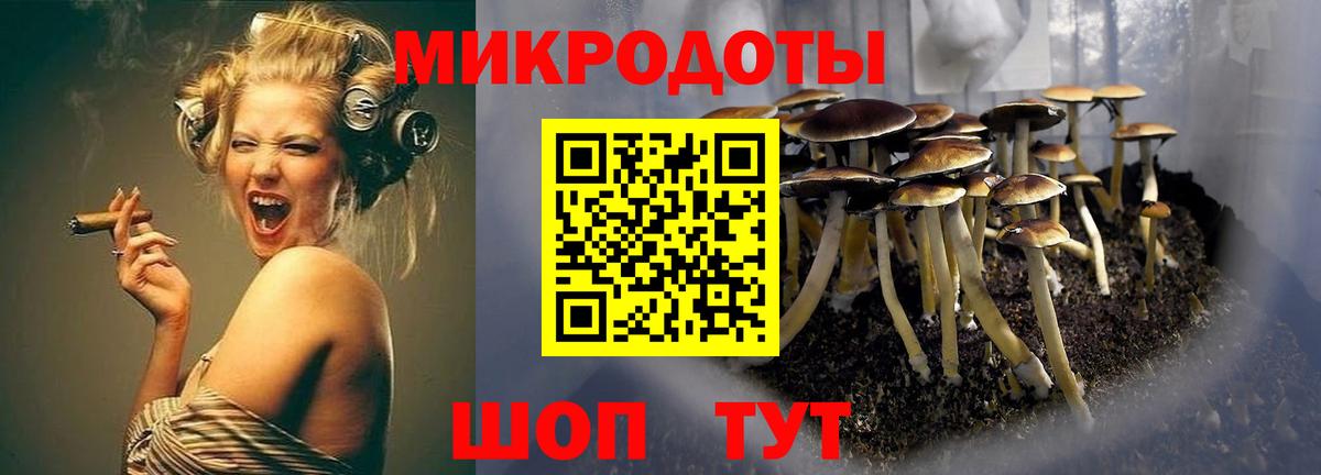 Галлюциногенные грибы мухоморы  Вход с VPN  Псилоцибиновые грибы Magic Shrooms  хочу наркоту  Шарыпово 